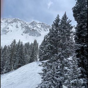 Meet your Posher, Ellen